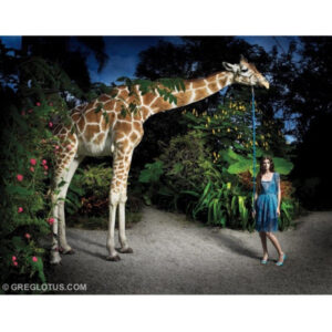 Giraffe by Greg Lotus