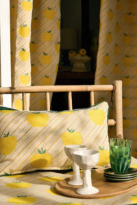 ELITIS NEW INDOOR OUTDOOR COLLECTION 2025