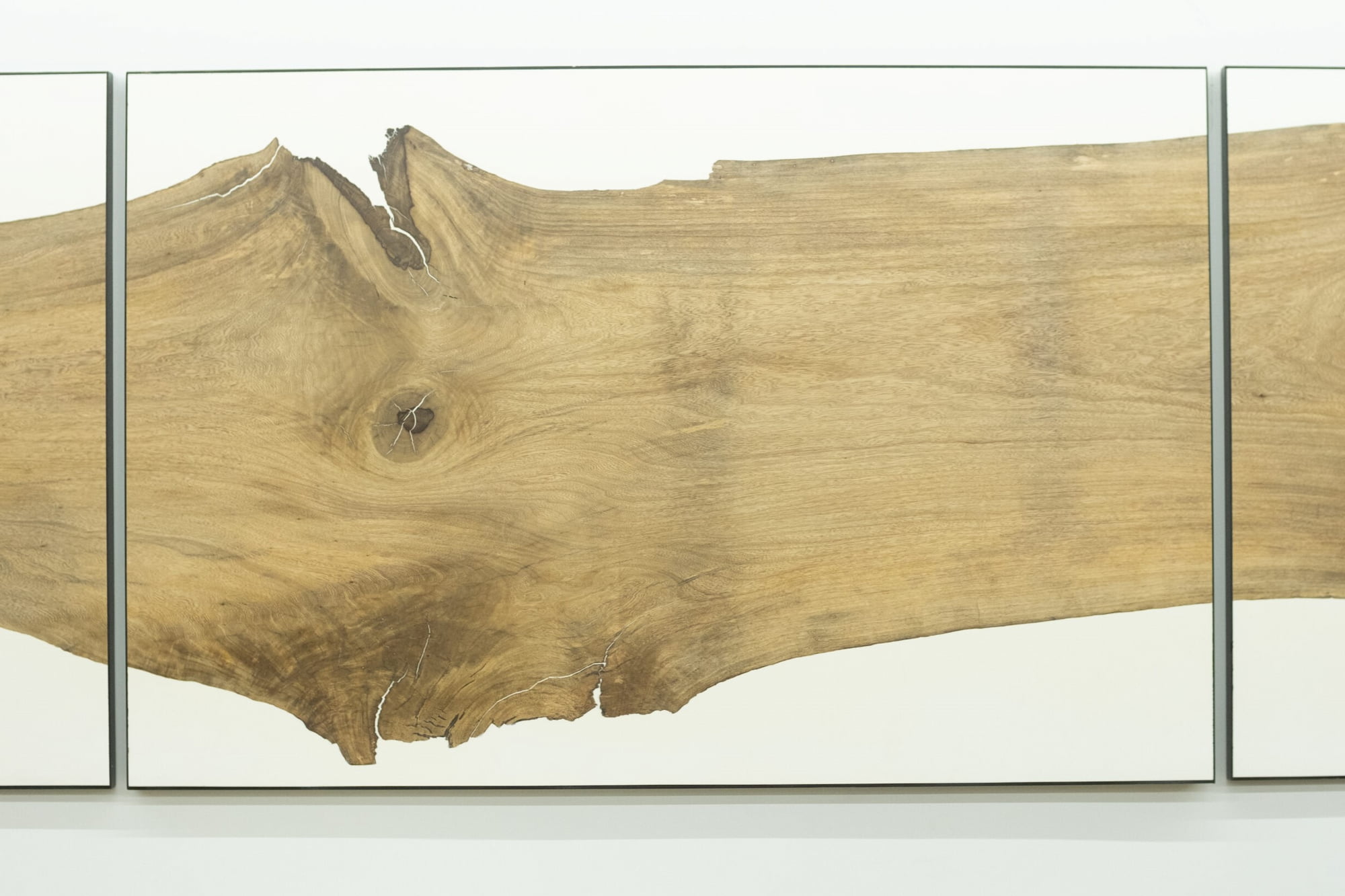 Soberon - Homepage Slider Image 8 - SFDP (1)