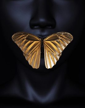 Butterfly over mouth image- Cartel Contemporary- Image for Fall Market 2023